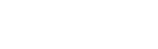 Vellum